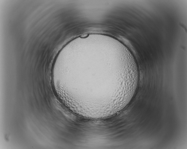 X0000103171435200809121850