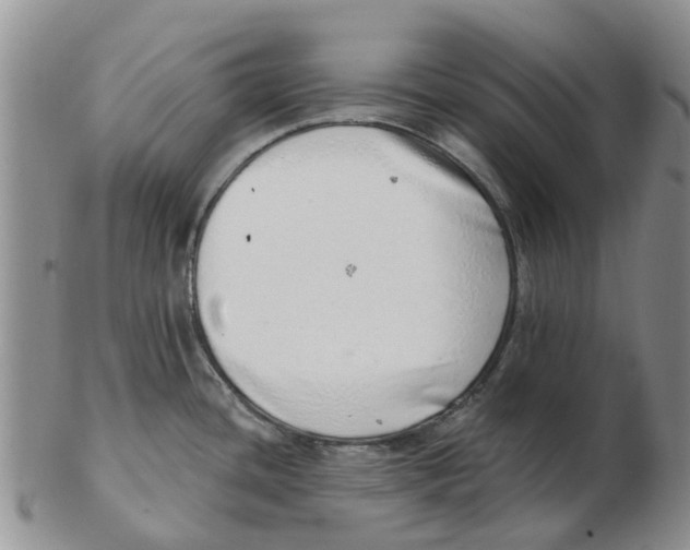 X0000103171436200809121850