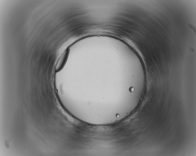 X0000103171437200809121850