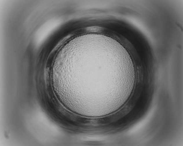 X0000103171438200809121850