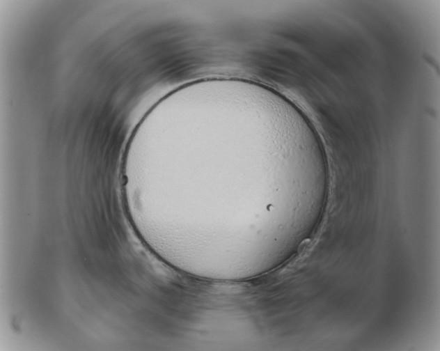 X0000103171440200809121850