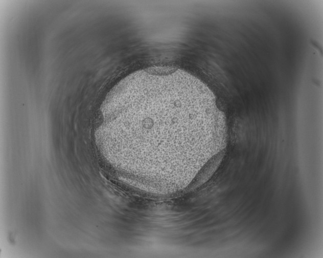 X0000103171441200809121850