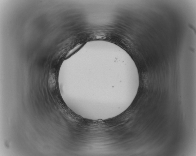 X0000103171442200809121850