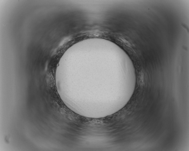 X0000103171446200809121850