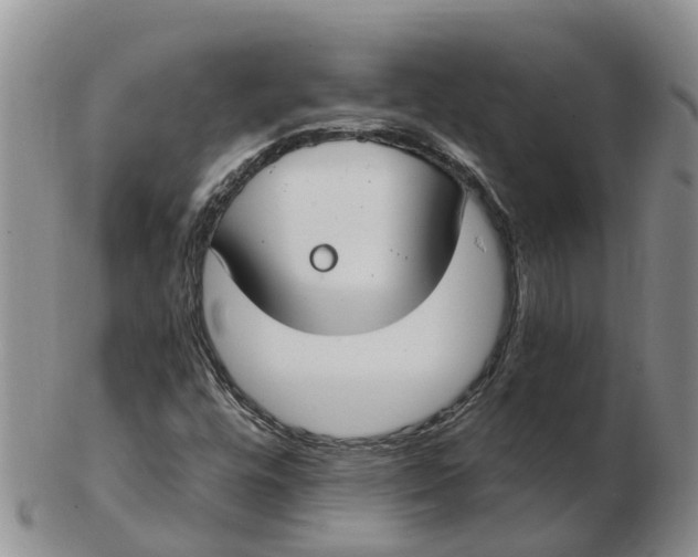 X0000103171448200809121850