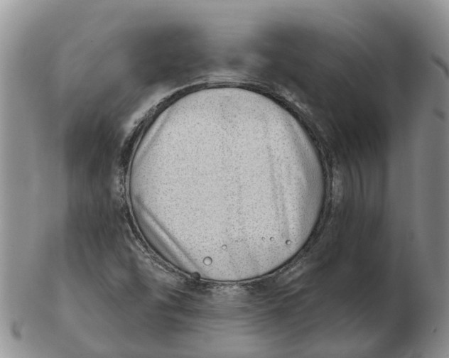 X0000103171454200809121849