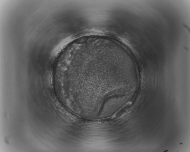 X0000103171455200809121849