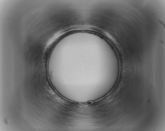 X0000103171456200809121849