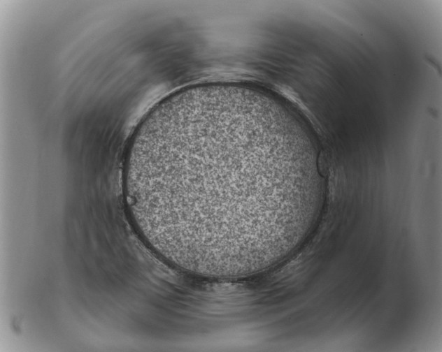 X0000103171459200809121849