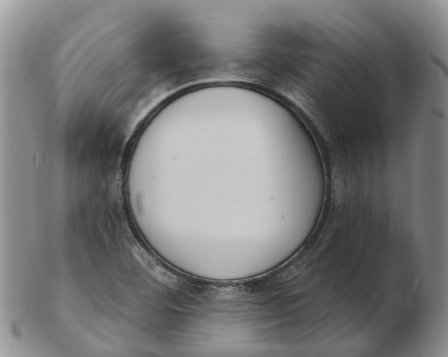 X0000103171460200809121849