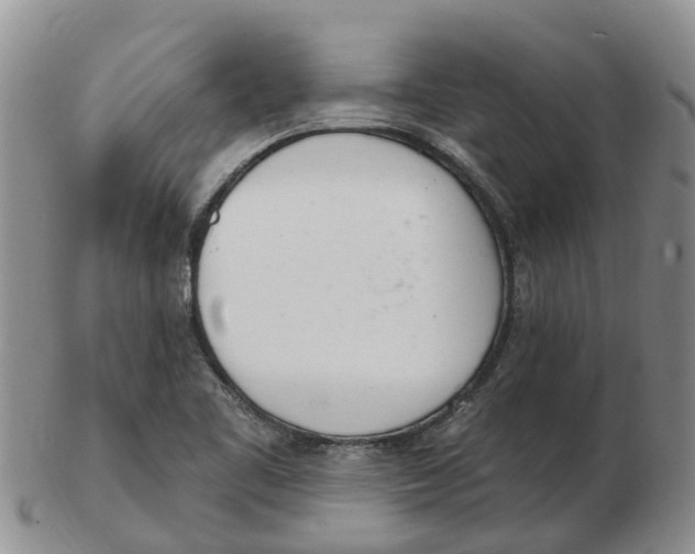 X0000103171461200809121849