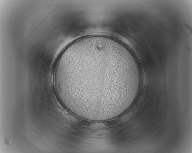 X0000103171462200809121849