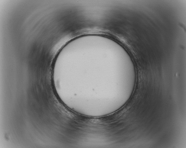 X0000103171463200809121849