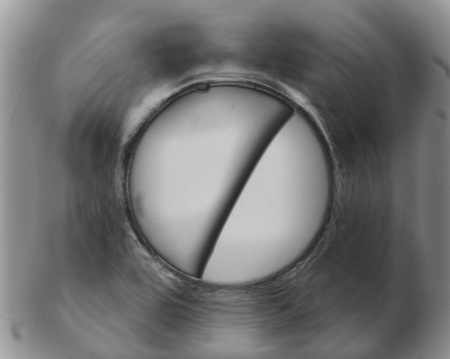 X0000103171464200809121849