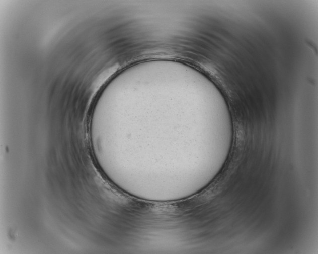 X0000103171466200809121849