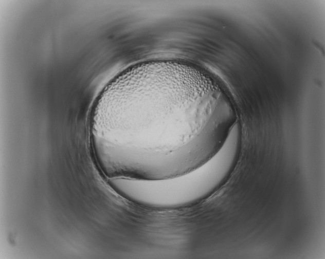 X0000103171467200809121849