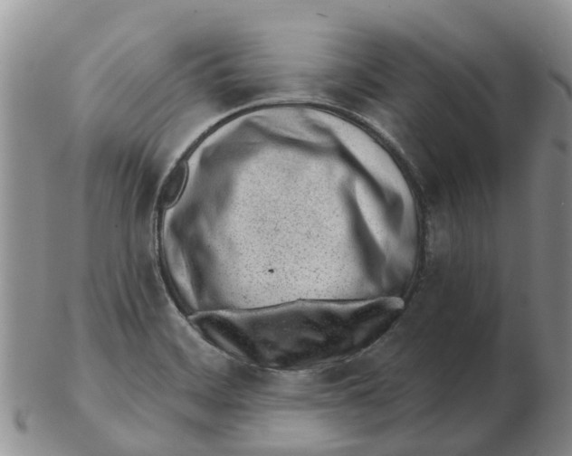 X0000103171468200809121849