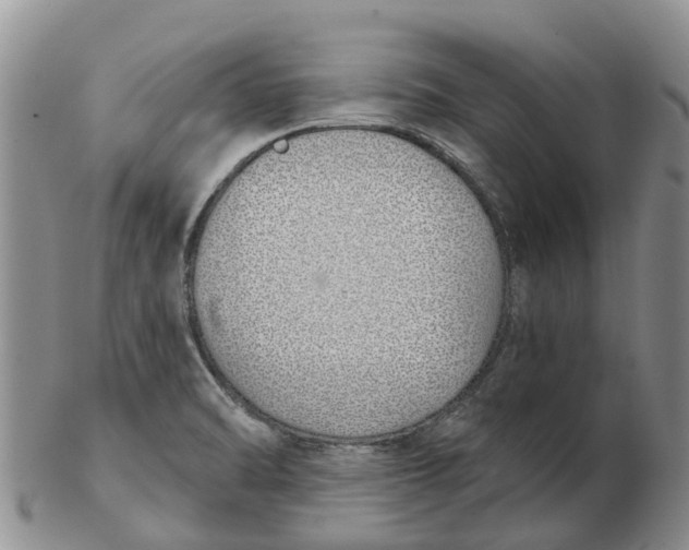 X0000103171470200809121849