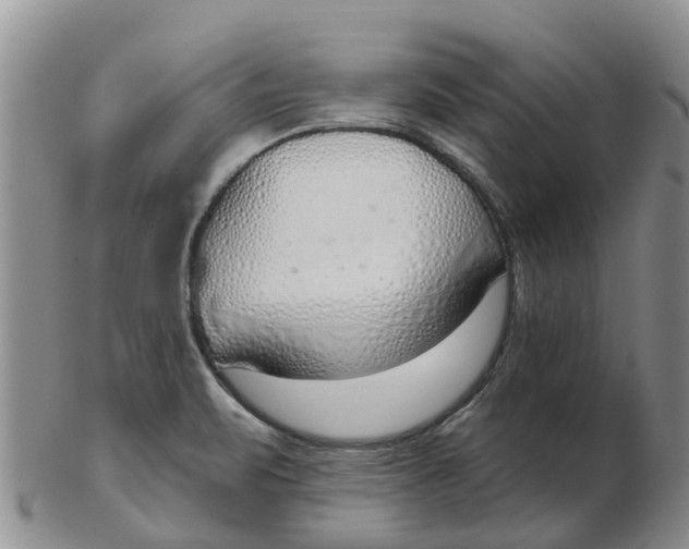 X0000103171471200809121849