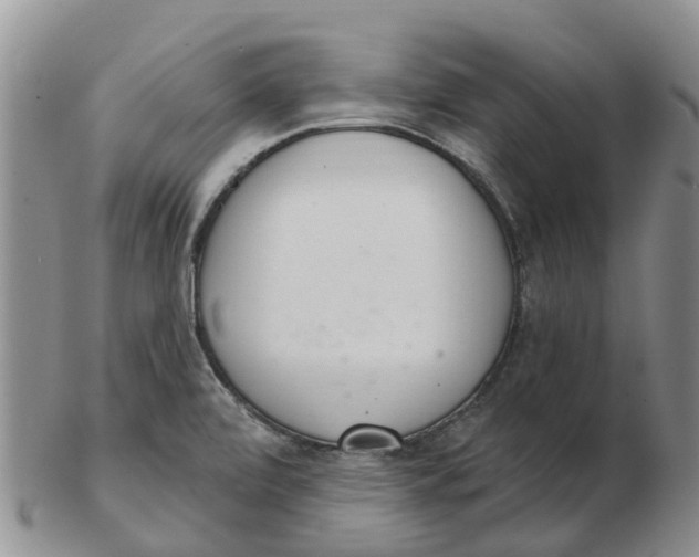 X0000103171472200809121849