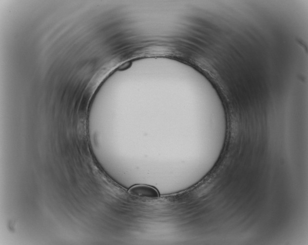 X0000103171473200809121849