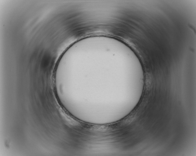 X0000103171474200809121849