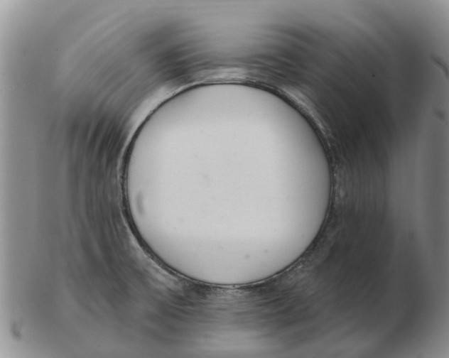 X0000103171475200809121849