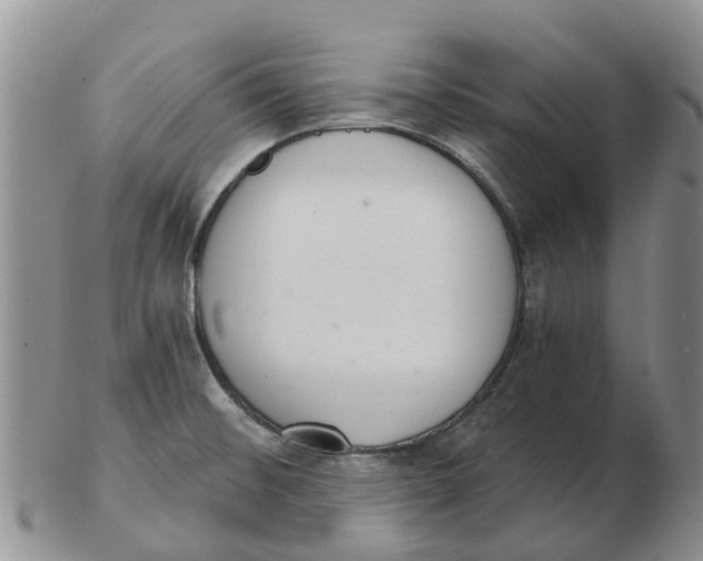 X0000103171476200809121849