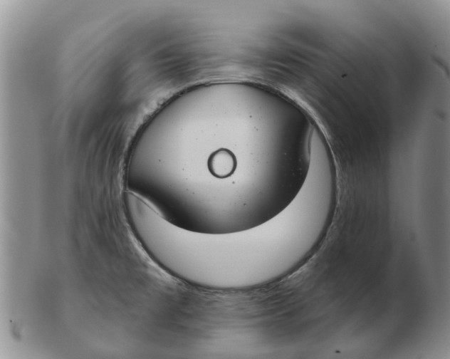 X0000103171477200809121849