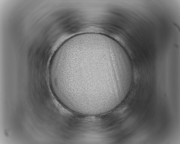 X0000103171478200809121849