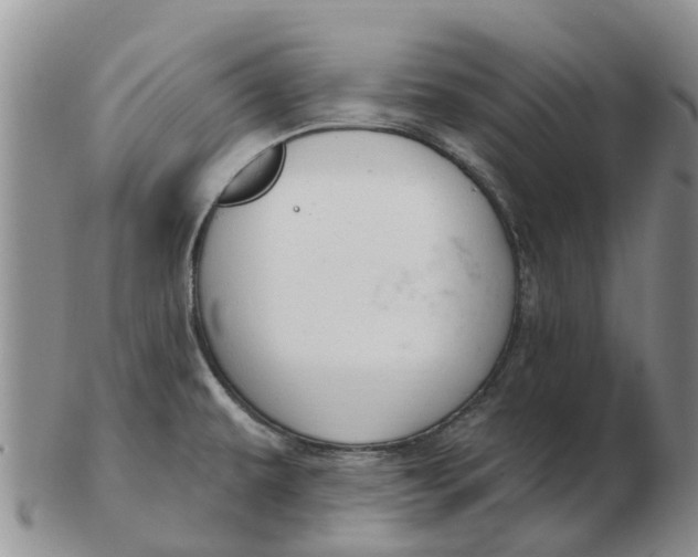 X0000103171479200809121849