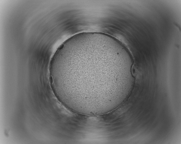 X0000103171480200809121849