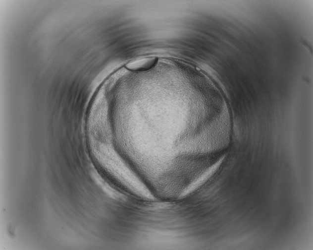 X0000103171482200809121849