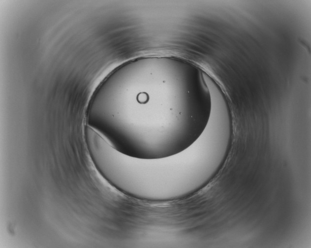 X0000103171484200809121849