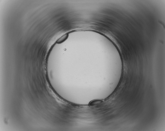 X0000103171485200809121849