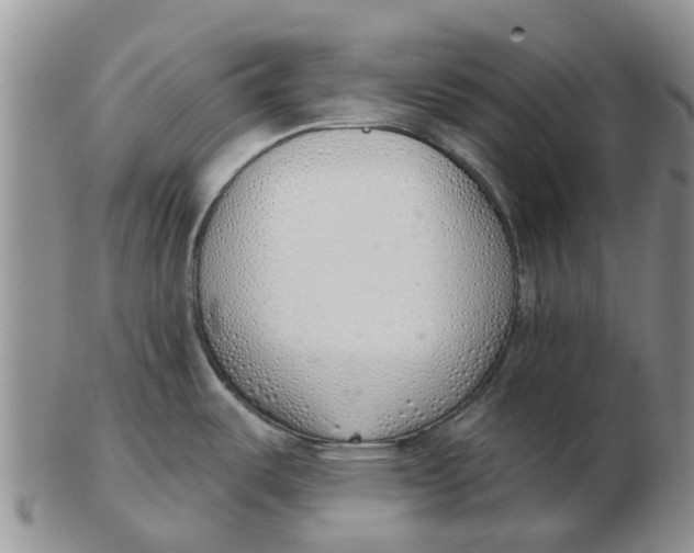 X0000103171487200809121849