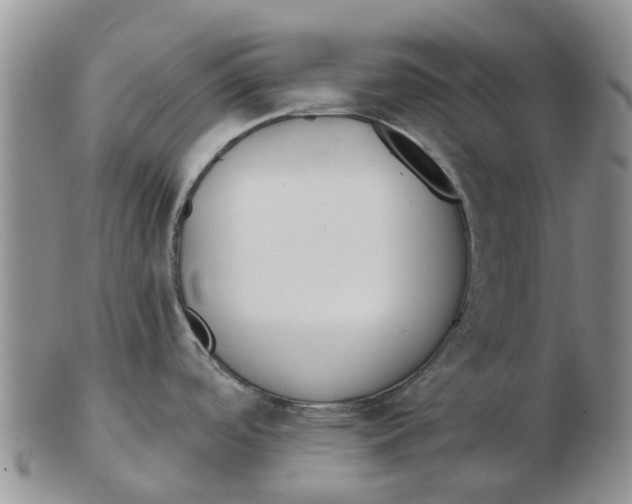 X0000103171488200809121849