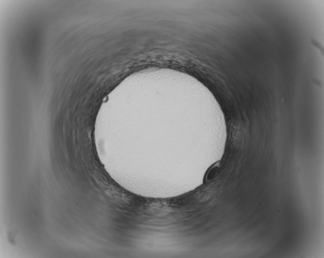 X0000103171489200809121848