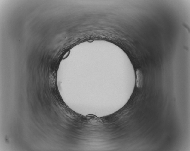 X0000103171491200809121848