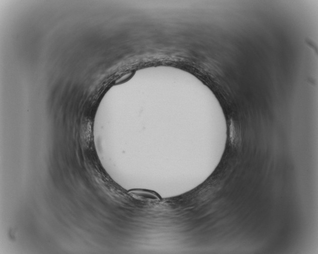 X0000103171492200809121848