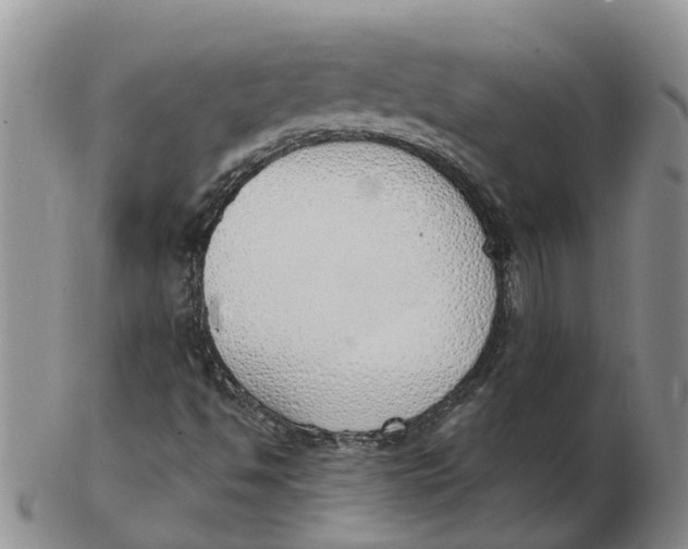 X0000103171494200809121848