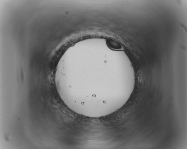 X0000103171495200809121848