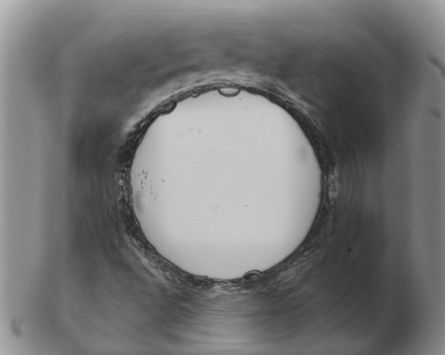 X0000103171496200809121848