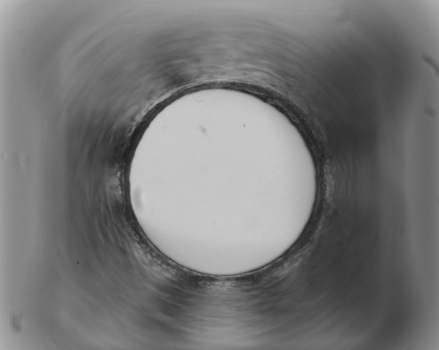 X0000103171497200809121848