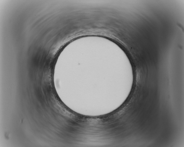 X0000103171498200809121848