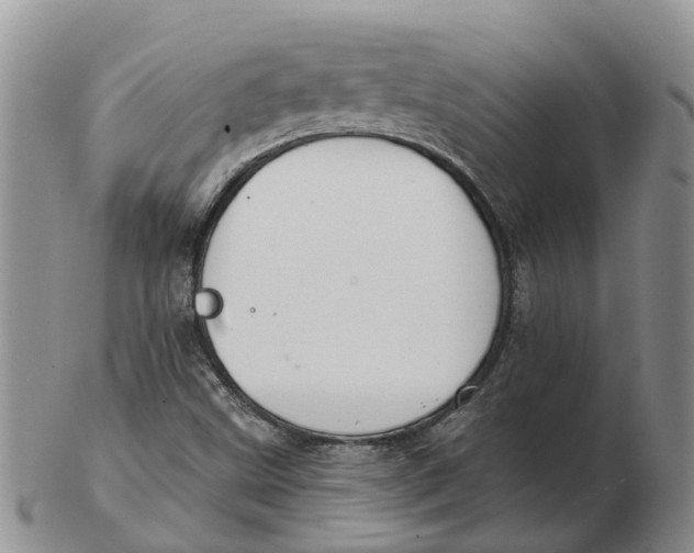 X0000103171499200809121848