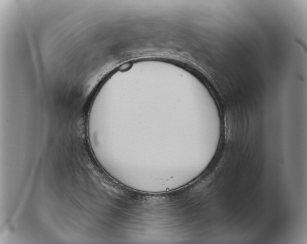 X0000103171501200809121848