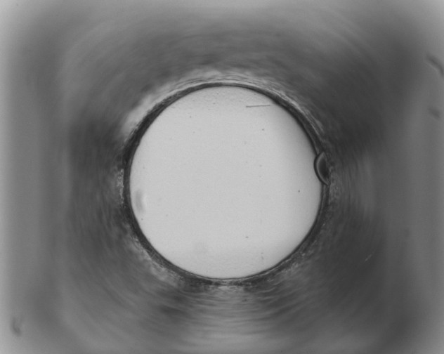 X0000103171503200809121848