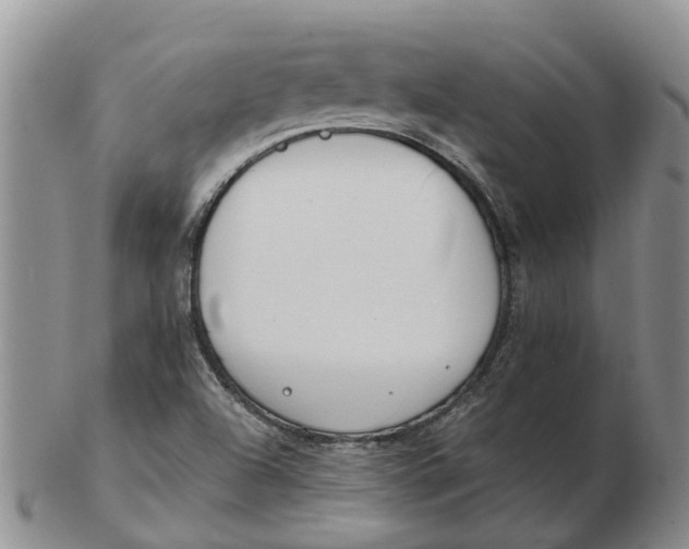 X0000103171504200809121848