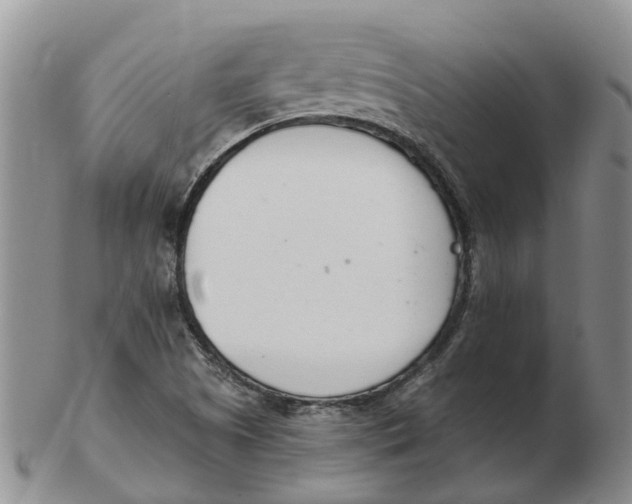 X0000103171505200809121848